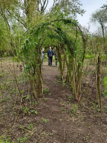 Willow feature, Mill Island